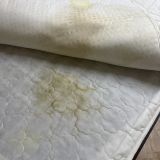 Гостевой дом Фаворит, фото гостя