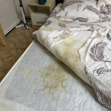 Гостевой дом Фаворит, фото гостя