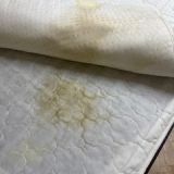 Гостевой дом Фаворит, фото гостя