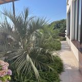 Гостевой дом Villa16plus, фото гостя