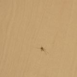 Мини-отель New Day, фото гостя