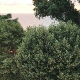 Гостевой дом Гранат by Sun City Hotels, фото гостя