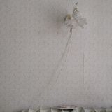 Гостиница Валдай, фото гостя