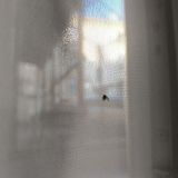 Отель 3 Гнома, фото гостя