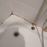 Отель Роза, фото гостя