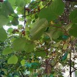 Гостевой дом Анна, фото гостя