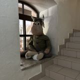Гостевой комплекс Изборск, фото гостя
