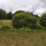 Загородный комплекс Пихтовое, фото гостя