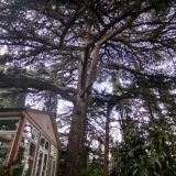 Отель Крым-Дрим, фото гостя