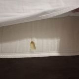 Отель Наири, фото гостя