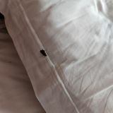 Гостиница Крон-Отель, фото гостя