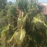 Гостевой дом НикОль, фото гостя