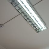 Гостиница Добрый Кот, фото гостя