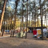 Кемпинг Под соснами, фото гостя