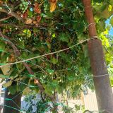 Нижнее Учдере, фото отдыхающего в августе