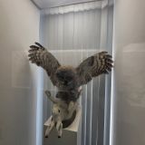 Река Обь, фото отдыхающего в августе