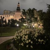 Центральная Россия, фото отдыхающего в августе