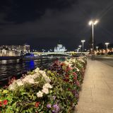 Центральная Россия, фото отдыхающего в августе
