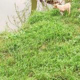 Гостевой дом Аммонит, фото гостя