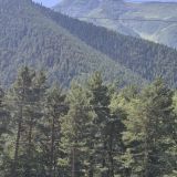 Отель Нарния, фото гостя