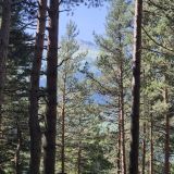Отель Нарния, фото гостя