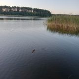 Отель Светлица, фото гостя