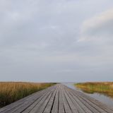 Гостевой дом Ладога Коккорево, фото гостя