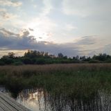 Гостевой дом Ладога Коккорево, фото гостя