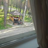 База отдыха Светофор, фото гостя