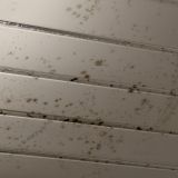 Гостиница Норд, фото гостя