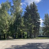 Загородный отель Тропикана Парк, фото гостя