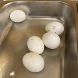 Гостиница Поместье Загосье, фото гостя