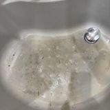 Гостевой дом Усадьба Роза Мария, фото гостя