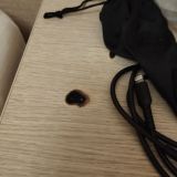 Гостевой дом Астория, фото гостя