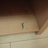 Гостевой дом Астория, фото гостя