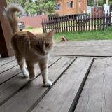База отдыха Тридевятое царство, фото гостя