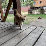 База отдыха Тридевятое царство, фото гостя