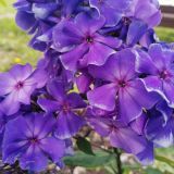 Мини-отель Даурия, фото гостя