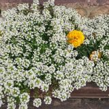 Мини-отель Даурия, фото гостя