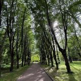 Парк-Отель Морозовка, фото гостя