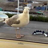 Отель Меридиан, фото гостя