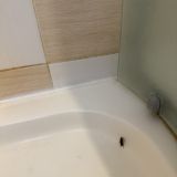 Крокус-Отель, фото гостя