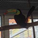 Курортный комплекс Черные камни, фото гостя