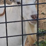 Курортный комплекс Черные камни, фото гостя