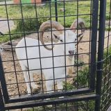 Курортный комплекс Черные камни, фото гостя