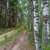 Парк-Отель Паустовский, фото гостя