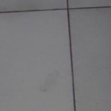 Гостиница Hotel Ring, фото гостя