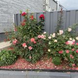 Мини-отель Альтаир, фото гостя