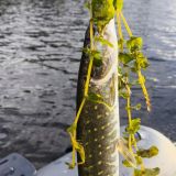 База отдыха Форт Верный, фото гостя