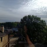 Гостевой дом Усадьба Роза Мария, фото гостя